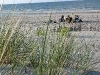 img_0016_std