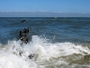 img_0184_std