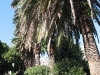 030712_164717_1_std
