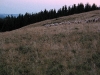img_0060_std