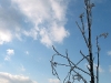 2003-10-25-skrzyczne