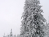 img_0062_std