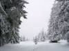 img_0067_std