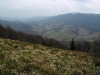 img_0015_std