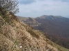 img_0175_crop_std