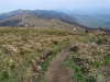 img_0193_std