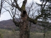 2004-05-bieszczady