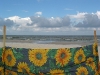 040902_143506_std