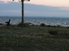040902_194248_std