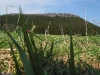 050502_142333_std