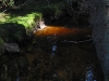050502_175232_std