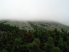 050827_093926_std