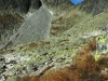 061007_103837_std