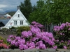 Gamle Stavanger (Old Stavanger)