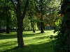 070530_202029_std