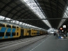 dsc_6398_std