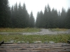 20071006_094910_std