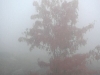 20071006_160751_std