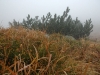 20071006_160803_std