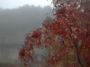 20071006_161210_std