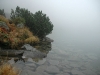 20071007_092634_std