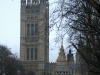 dsc_9277_std