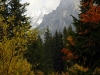 081010_100524_std