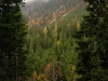 081010_111308_std
