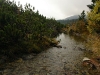 081010_112807_std