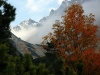 081010_115547_std
