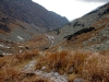 081010_135701_std